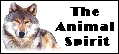 Animal Spirit Logo Ribbon