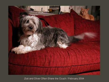 Zoe and Oliver often share the couch/February 2004