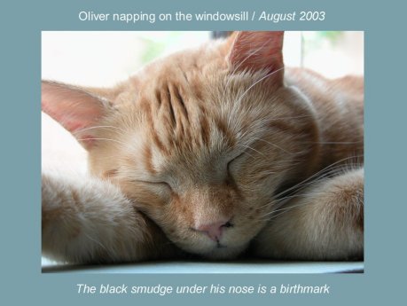 Oliver, Zoe's Companion/August 2003